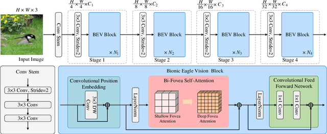 Figure 3 for EViT: An Eagle Vision Transformer with Bi-Fovea Self-Attention