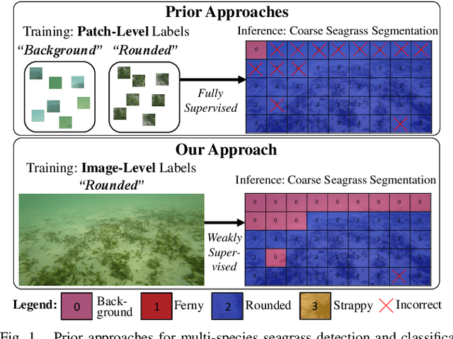 Figure 1 for Image Labels Are All You Need for Coarse Seagrass Segmentation