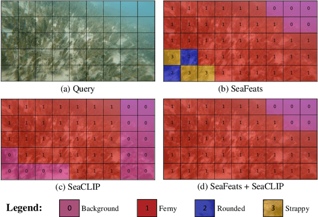 Figure 3 for Image Labels Are All You Need for Coarse Seagrass Segmentation