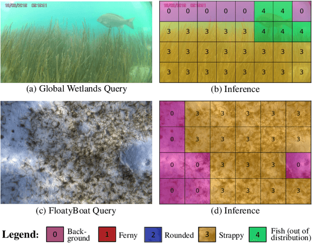Figure 4 for Image Labels Are All You Need for Coarse Seagrass Segmentation