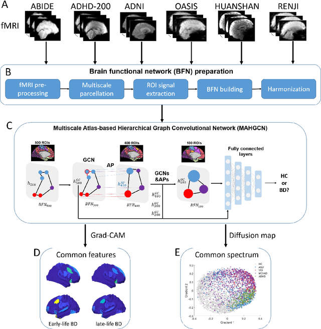 Figure 1 for Deep learning reveals the common spectrum underlying multiple brain disorders in youth and elders from brain functional networks