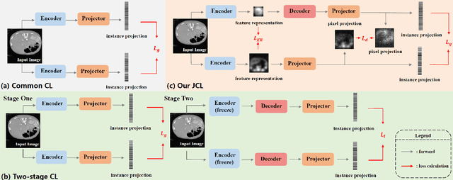 Figure 1 for Multi-level Asymmetric Contrastive Learning for Medical Image Segmentation Pre-training
