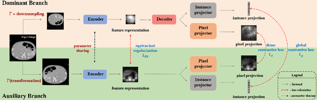 Figure 3 for Multi-level Asymmetric Contrastive Learning for Medical Image Segmentation Pre-training