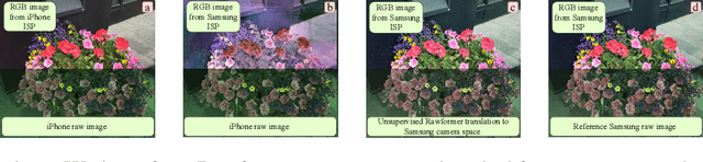 Figure 1 for Rawformer: Unpaired Raw-to-Raw Translation for Learnable Camera ISPs