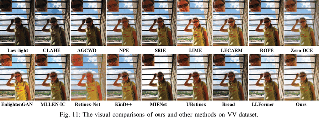 Figure 3 for Division Gets Better: Learning Brightness-Aware and Detail-Sensitive Representations for Low-Light Image Enhancement