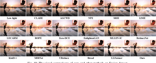 Figure 2 for Division Gets Better: Learning Brightness-Aware and Detail-Sensitive Representations for Low-Light Image Enhancement