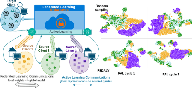 Figure 1 for Federated Active Learning for Target Domain Generalisation
