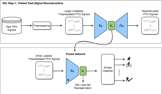 Figure 1 for Self-Supervised PPG Representation Learning Shows High Inter-Subject Variability