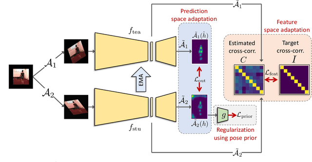 Figure 3 for Prior-guided Source-free Domain Adaptation for Human Pose Estimation
