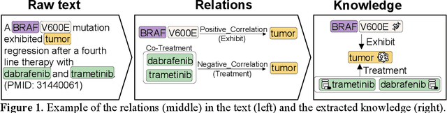 Figure 1 for BioREx: Improving Biomedical Relation Extraction by Leveraging Heterogeneous Datasets