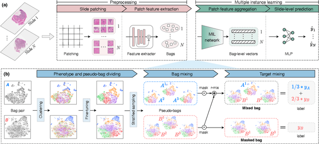 Figure 3 for Pseudo-Bag Mixup Augmentation for Multiple Instance Learning-Based Whole Slide Image Classification