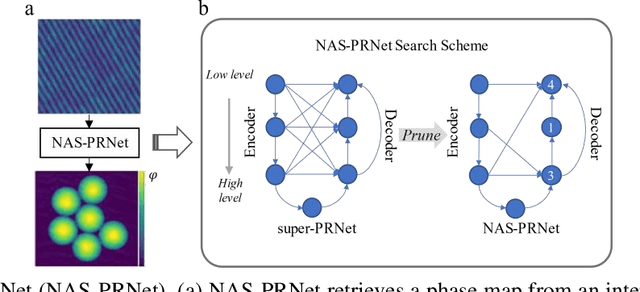 Figure 1 for NAS-PRNet: Neural Architecture Search generated Phase Retrieval Net for Off-axis Quantitative Phase Imaging