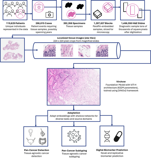 Figure 1 for Virchow: A Million-Slide Digital Pathology Foundation Model