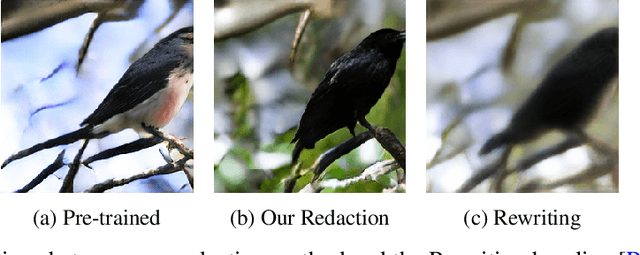 Figure 1 for Data Redaction from Conditional Generative Models