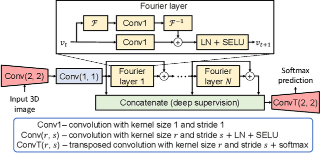 Figure 1 for FNOSeg3D: Resolution-Robust 3D Image Segmentation with Fourier Neural Operator