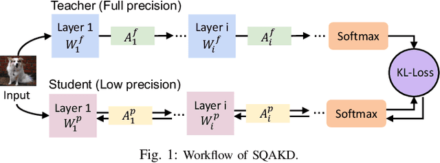 Figure 1 for Poster: Self-Supervised Quantization-Aware Knowledge Distillation