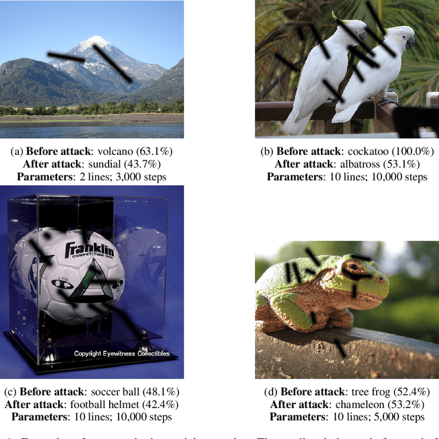 Figure 1 for Human-Producible Adversarial Examples