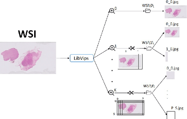 Figure 4 for HistoColAi: An Open-Source Web Platform for Collaborative Digital Histology Image Annotation with AI-Driven Predictive Integration