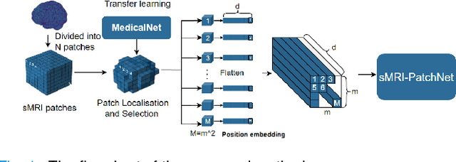 Figure 1 for sMRI-PatchNet: A novel explainable patch-based deep learning network for Alzheimer's disease diagnosis and discriminative atrophy localisation with Structural MRI