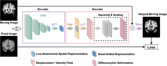 Figure 3 for Fourier-Net: Fast Image Registration with Band-limited Deformation