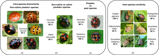 Figure 4 for Deep learning powered real-time identification of insects using citizen science data