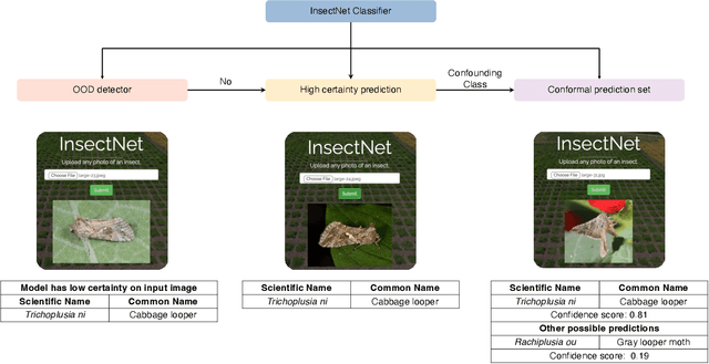 Figure 1 for Deep learning powered real-time identification of insects using citizen science data