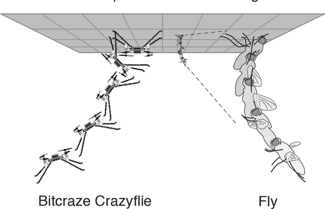 Figure 1 for From Flies to Robots: Inverted Landing in Small Quadcopters with Dynamic Perching