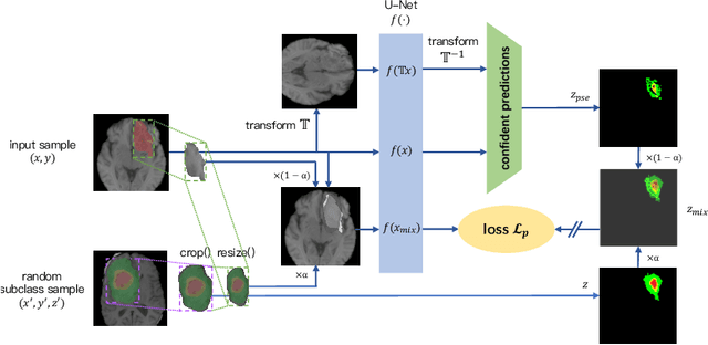 Figure 3 for Efficient Subclass Segmentation in Medical Images