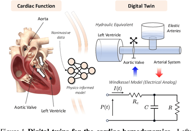 Figure 1 for Non-Invasive Medical Digital Twins using Physics-Informed Self-Supervised Learning