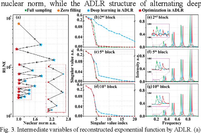 Figure 3 for Alternating Deep Low Rank Approach for Exponential Function Reconstruction and Its Biomedical Magnetic Resonance Applications