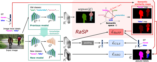 Figure 3 for RaSP: Relation-aware Semantic Prior for Weakly Supervised Incremental Segmentation