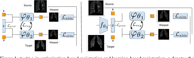 Figure 1 for $\texttt{NePhi}$: Neural Deformation Fields for Approximately Diffeomorphic Medical Image Registration