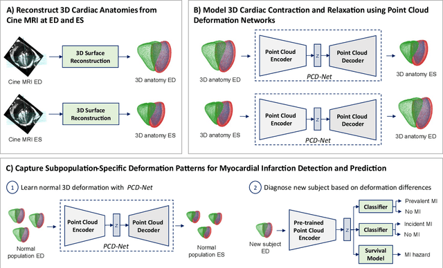 Figure 1 for Modeling 3D cardiac contraction and relaxation with point cloud deformation networks