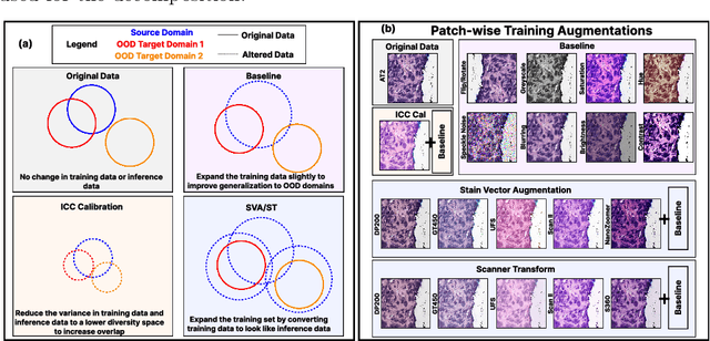 Figure 1 for Synthetic DOmain-Targeted Augmentation (S-DOTA) Improves Model Generalization in Digital Pathology