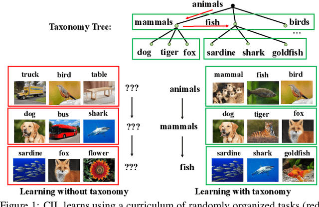 Figure 1 for Taxonomic Class Incremental Learning