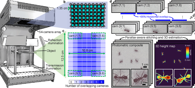 Figure 1 for Parallelized computational 3D video microscopy of freely moving organisms at multiple gigapixels per second