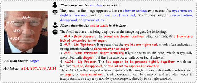 Figure 1 for Facial Affective Behavior Analysis with Instruction Tuning