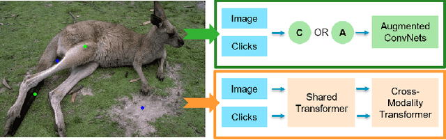 Figure 1 for Interactive Image Segmentation with Cross-Modality Vision Transformers