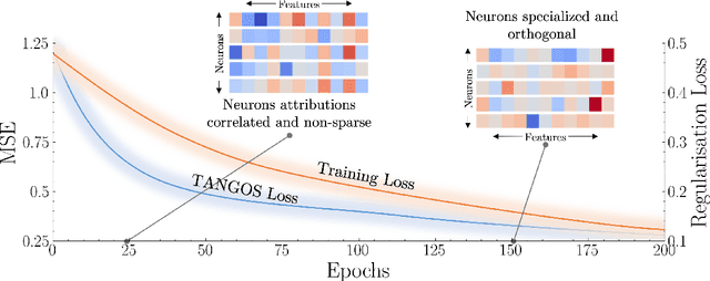 Figure 1 for TANGOS: Regularizing Tabular Neural Networks through Gradient Orthogonalization and Specialization
