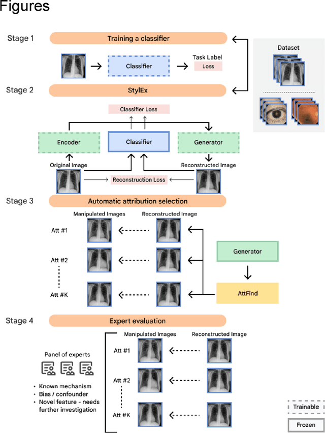 Figure 1 for Using generative AI to investigate medical imagery models and datasets