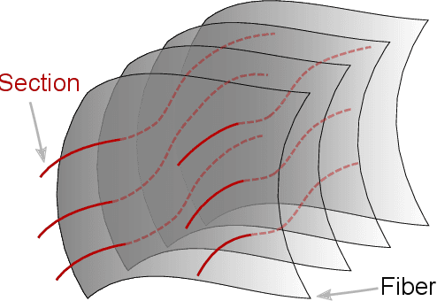 Figure 1 for Feature Gradient Flow for Interpreting Deep Neural Networks in Head and Neck Cancer Prediction