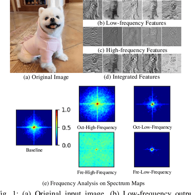 Figure 1 for FreConv: Frequency Branch-and-Integration Convolutional Networks