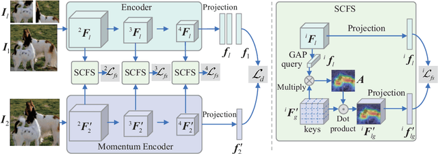 Figure 3 for Semantics-Consistent Feature Search for Self-Supervised Visual Representation Learning