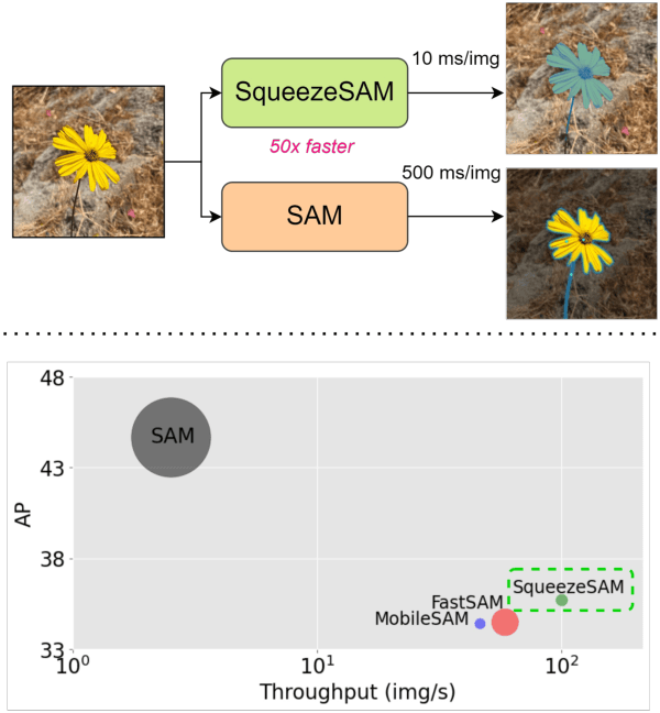 Figure 1 for SqueezeSAM: User friendly mobile interactive segmentation