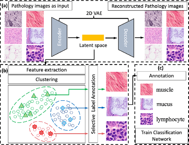 Figure 2 for Efficient Annotation for Medical Image Analysis: A One-Pass Selective Annotation Approach