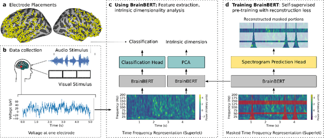Figure 1 for BrainBERT: Self-supervised representation learning for intracranial recordings