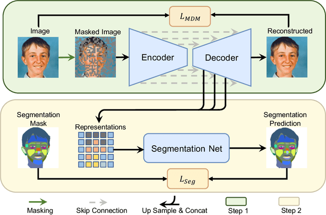 Figure 1 for Masked Diffusion as Self-supervised Representation Learner