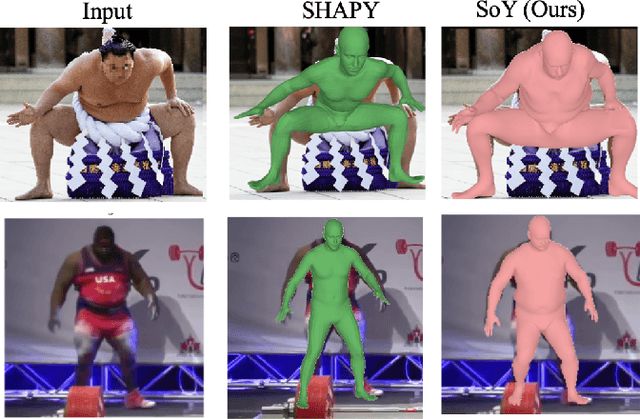 Figure 1 for Shape of You: Precise 3D shape estimations for diverse body types