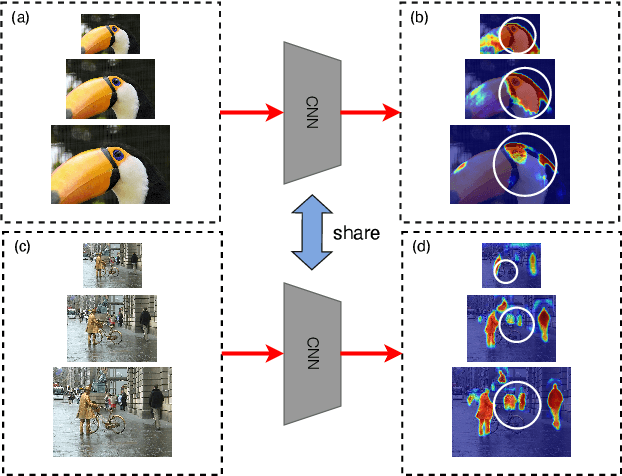 Figure 1 for A Self-Training Framework Based on Multi-Scale Attention Fusion for Weakly Supervised Semantic Segmentation
