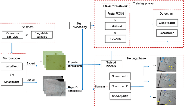 Figure 3 for Deep-learning assisted detection and quantification of (oo)cysts of Giardia and Cryptosporidium on smartphone microscopy images